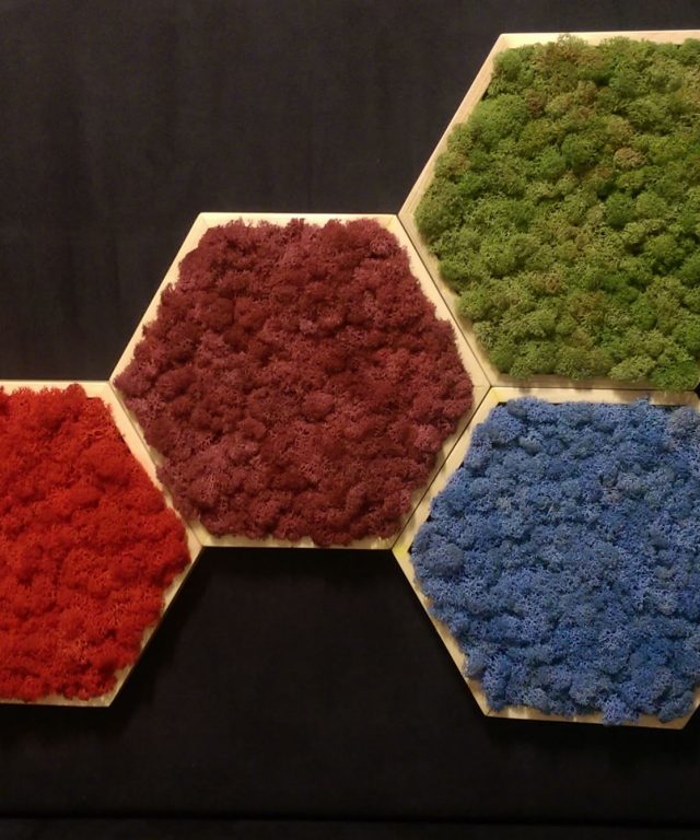 Hexagoane Mossai Play - Decoraţiune tablou din licheni naturali
