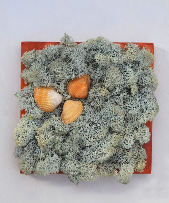 Shells - Tablou marin pentru baie cu licheni naturali